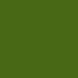 Efcolor olijf groen 10 ml
